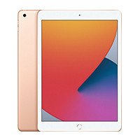 iPad 10.2” (2020)